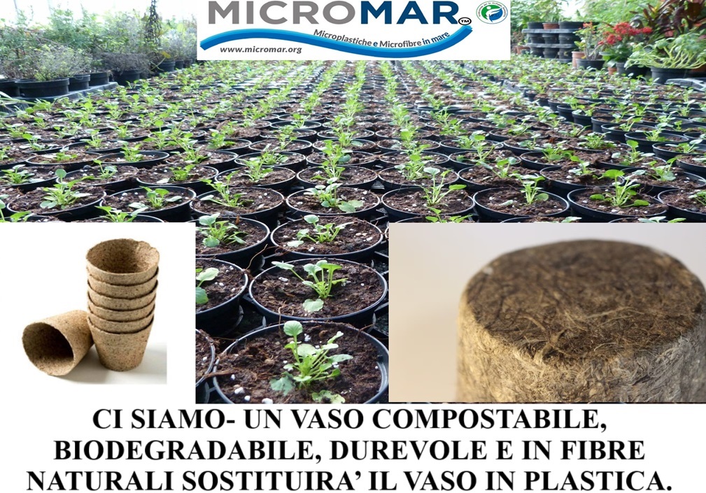 Vaso ecocompatibile