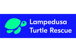 lampedusaturtlerescue